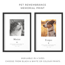 Load image into Gallery viewer, Pet Loss Portrait Custom Print, Pet Memorial Gift, Pet Loss Sympathy Gift, Memory Dog Loss Gift, Memorial Gift for a Cat. 00375