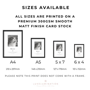 Pet Loss Portrait Custom Print, Pet Memorial Gift, Pet Loss Sympathy Gift, Memory Dog Loss Gift, Memorial Gift for a Cat. 00375