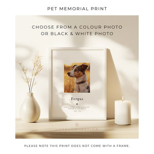 Pet Loss Portrait Custom Print, Pet Memorial Gift, Pet Loss Sympathy Gift, Memory Dog Loss Gift, Memorial Gift for a Cat. 00375