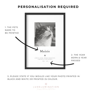 Pet Loss Portrait Custom Print, Pet Memorial Gift, Pet Loss Sympathy Gift, Memory Dog Loss Gift, Memorial Gift for a Cat. 00375