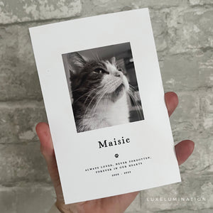 Pet Loss Portrait Custom Print, Pet Memorial Gift, Pet Loss Sympathy Gift, Memory Dog Loss Gift, Memorial Gift for a Cat. 00375