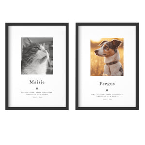 Pet Loss Portrait Custom Print, Pet Memorial Gift, Pet Loss Sympathy Gift, Memory Dog Loss Gift, Memorial Gift for a Cat. 00375