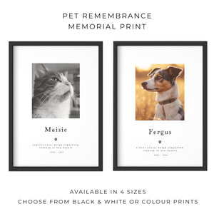 Pet Loss Portrait Custom Print, Pet Memorial Gift, Pet Loss Sympathy Gift, Memory Dog Loss Gift, Memorial Gift for a Cat. 00375